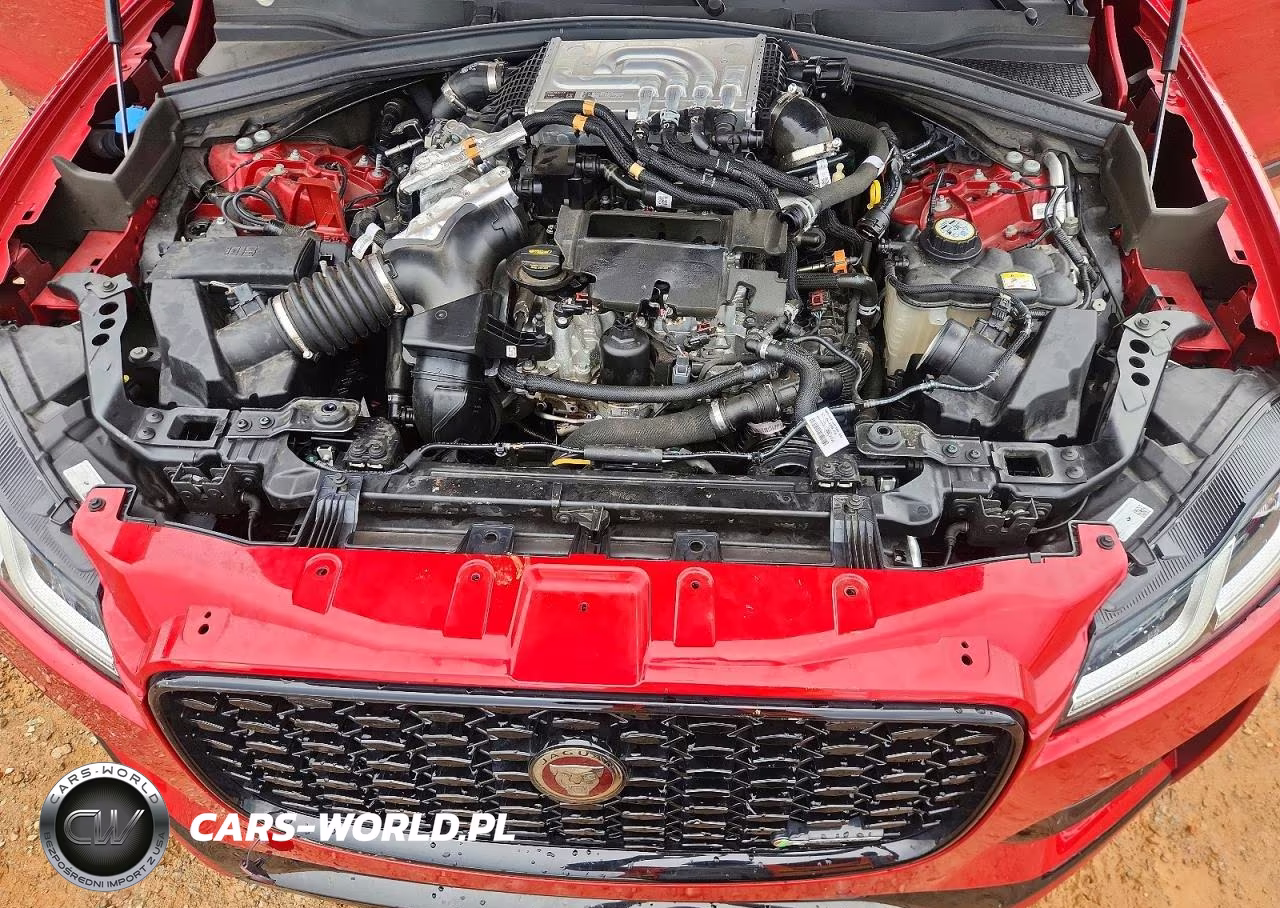2023 Jaguar F-Pace R-Dynamic S VIN:SADCT2FU3PA704406 - 12