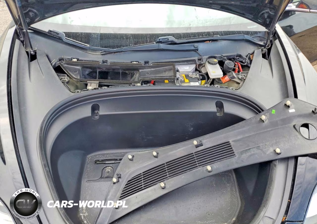 2020 Tesla Model 3 VIN:5YJ3E1EC9LF601324 - 11