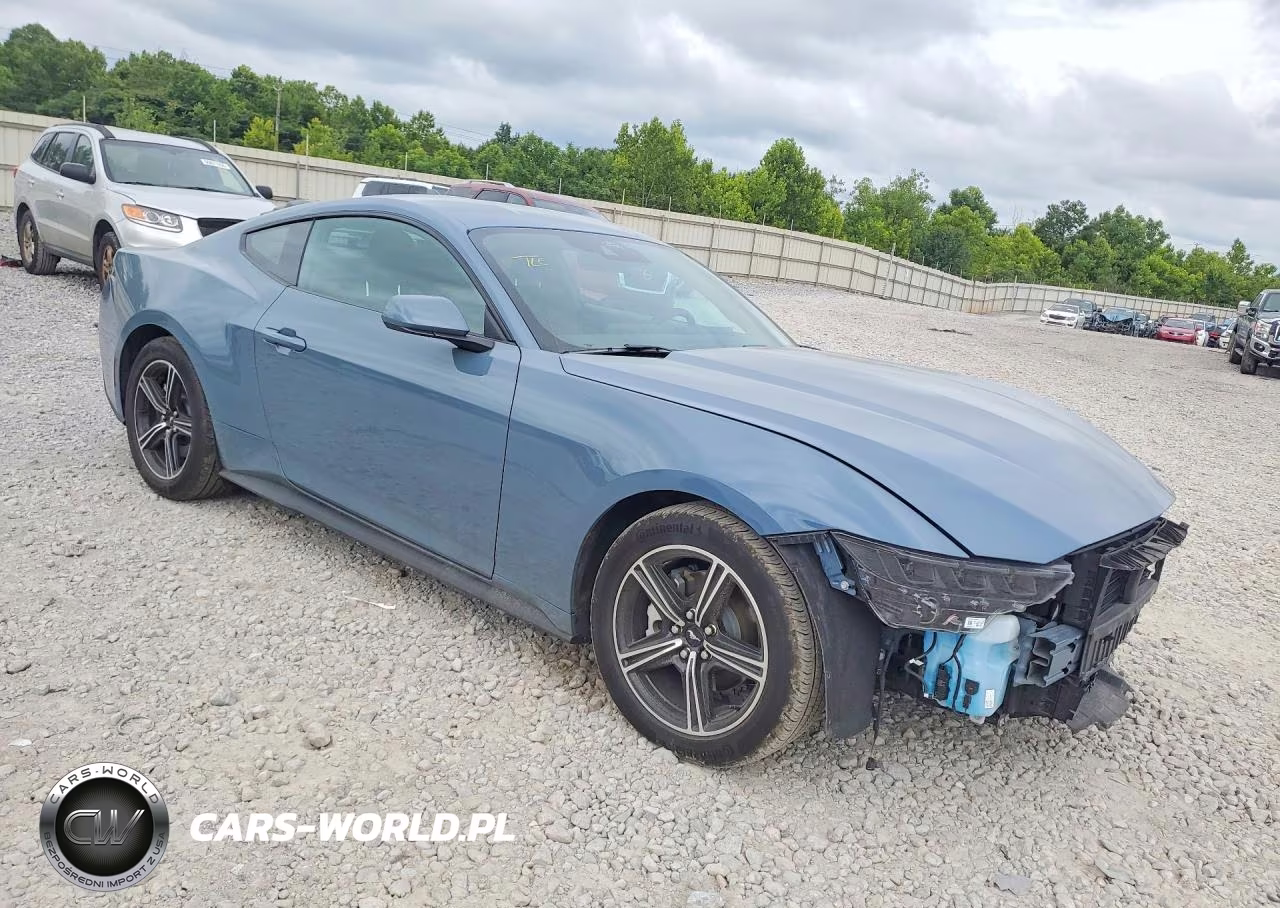2025 Ford Mustang VIN:1FA6P8TH9S5124933 - 4