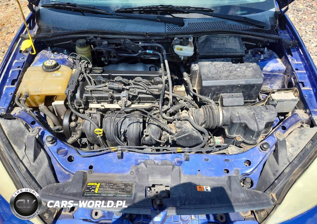 2005 Ford Focus Zx5 VIN:3FAFP37N15R151791 - 11