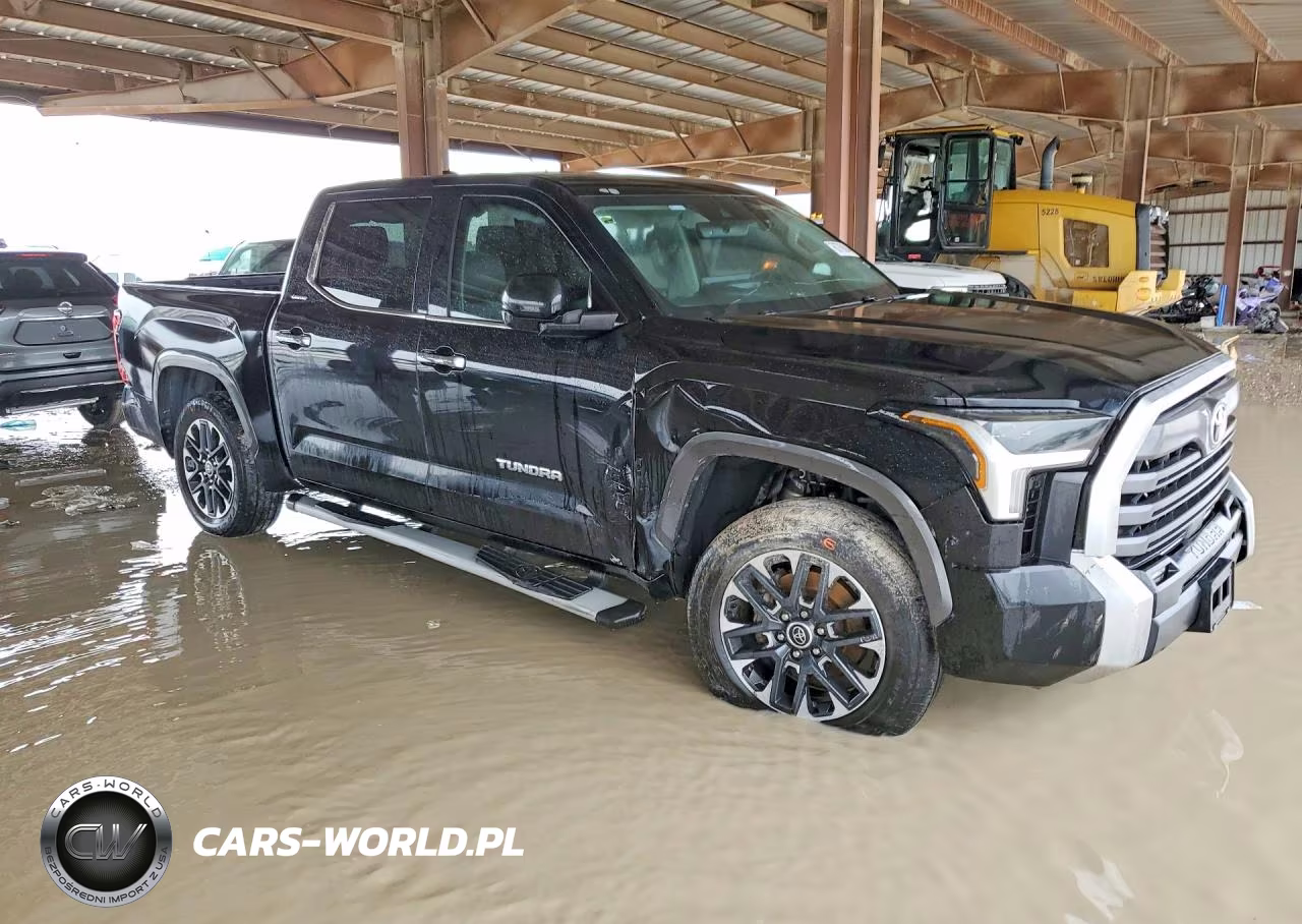 2022 Toyota Tundra Crewmax Limited VIN:5TFJA5AB7NX019352 - 4