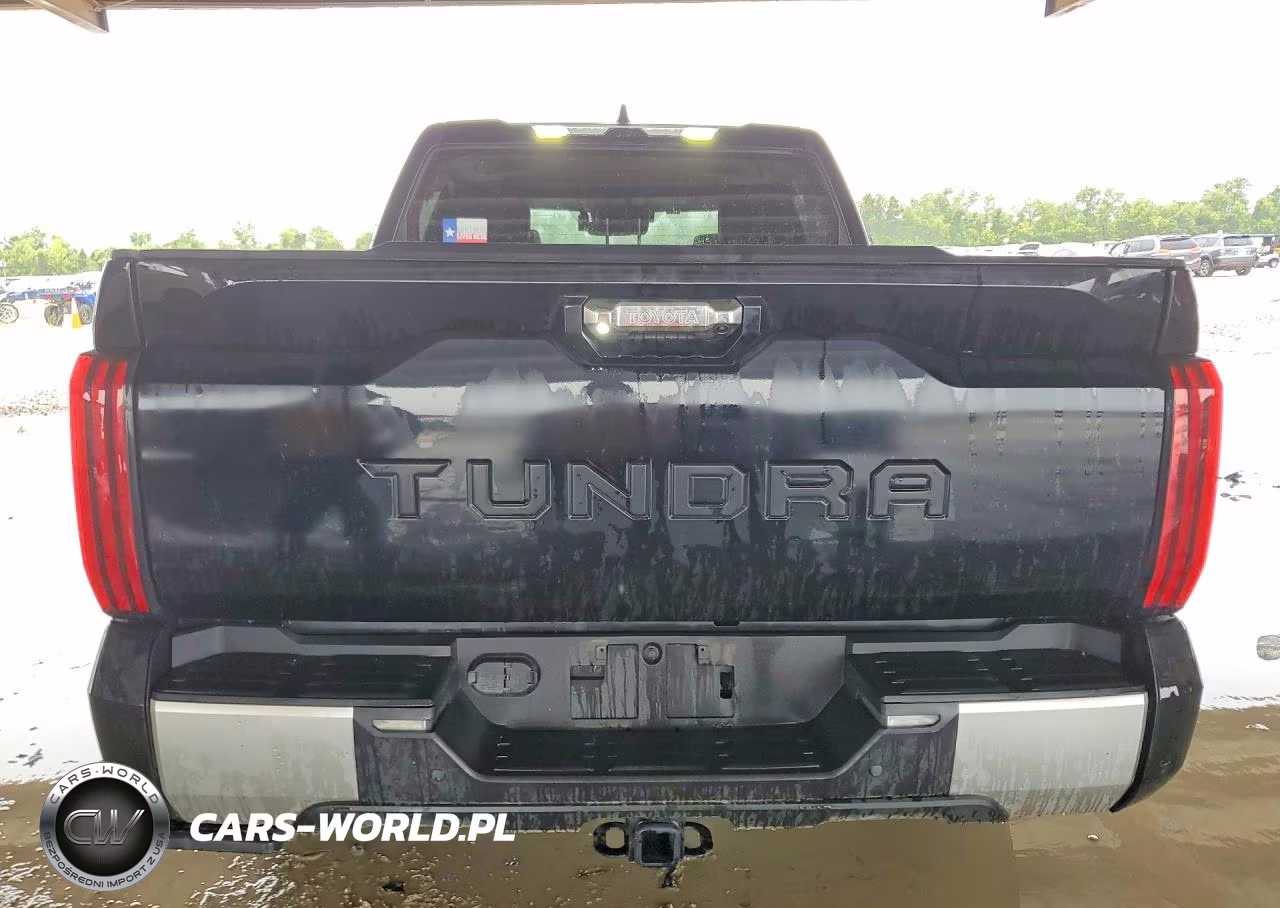 2022 Toyota Tundra Crewmax Limited VIN:5TFJA5AB7NX019352 - 6