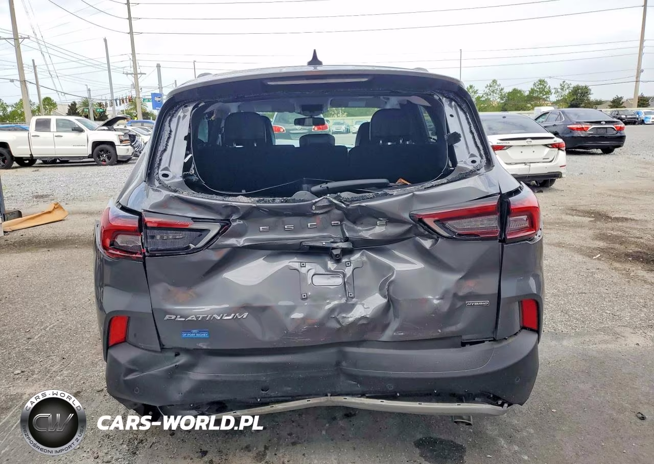 2025 Ford Escape Platinum VIN:1FMCU0JZ2SUA15394 - 6