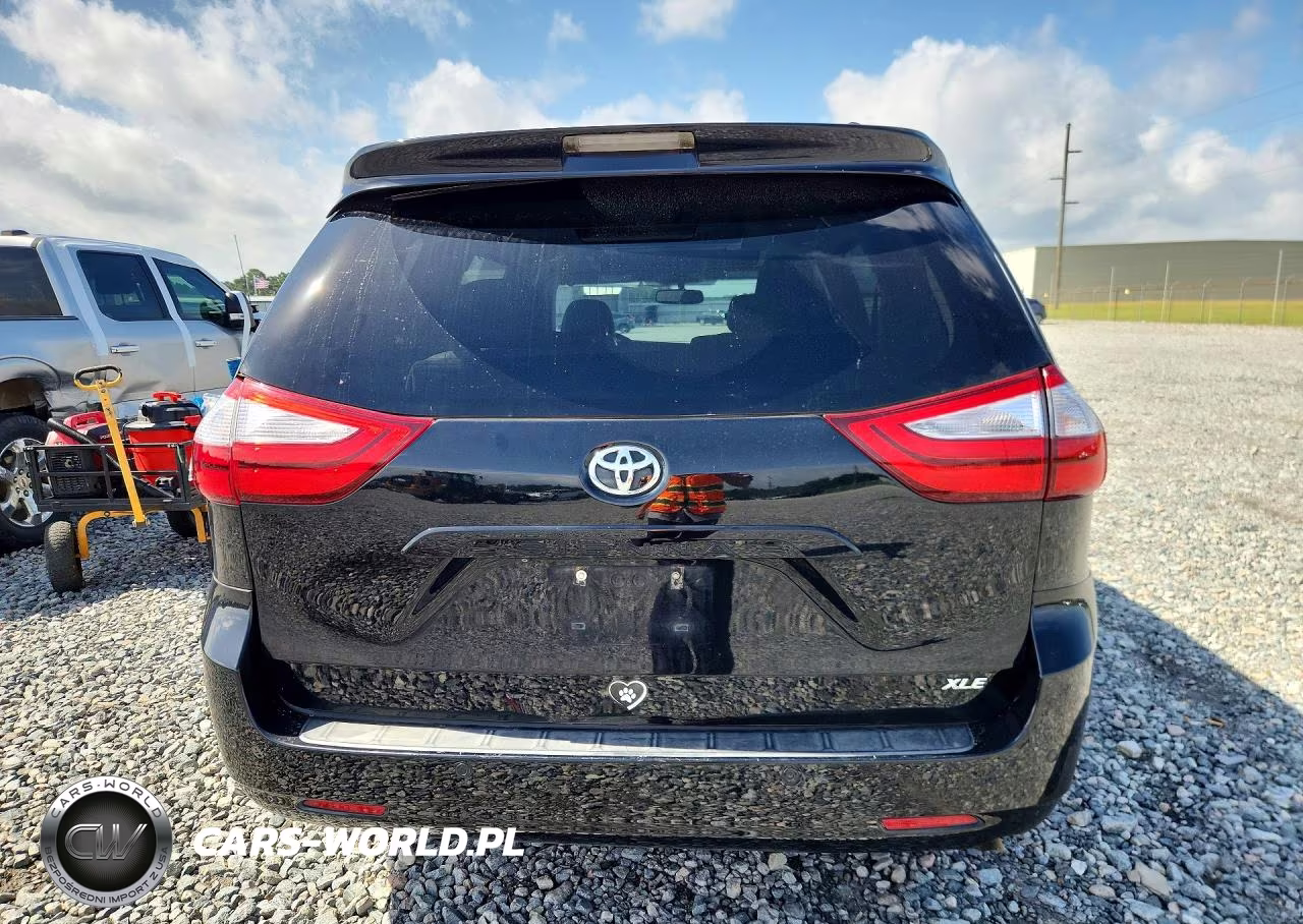 2016 Toyota Sienna Xle VIN:5TDYK3DC3GS729958 - 6