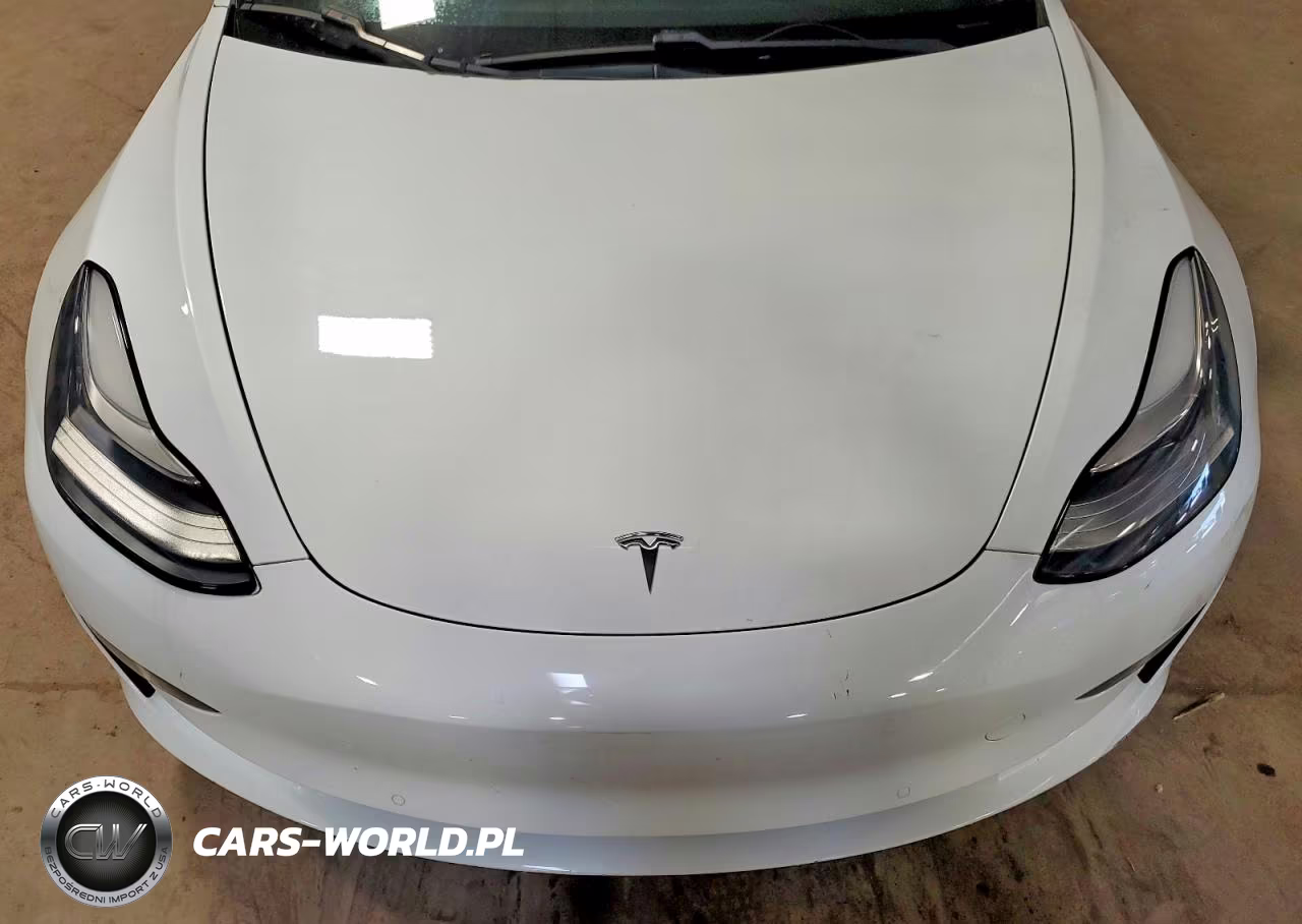 2020 Tesla Model 3 VIN:5YJ3E1EA0LF742958 - 11