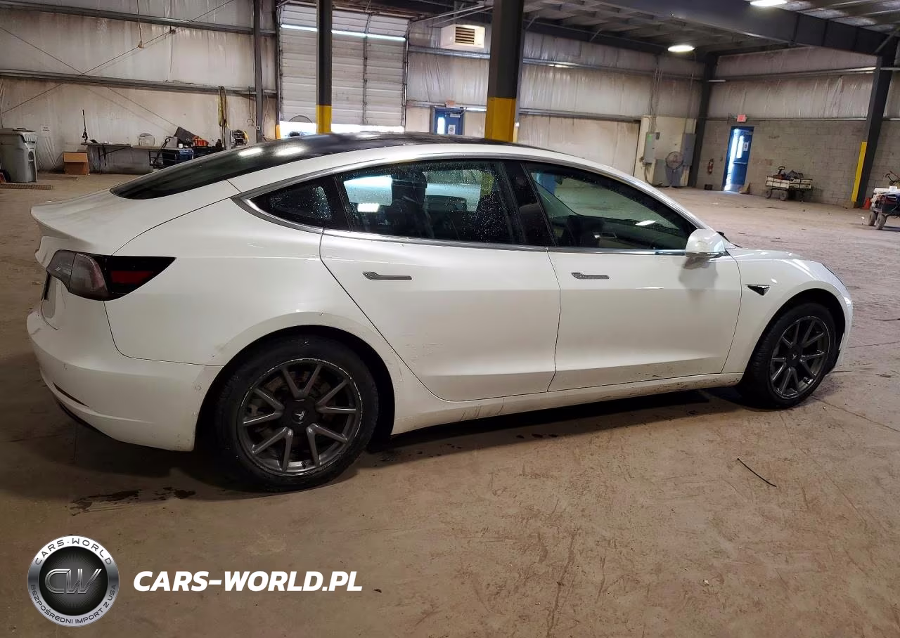2020 Tesla Model 3 VIN:5YJ3E1EA0LF742958 - 3
