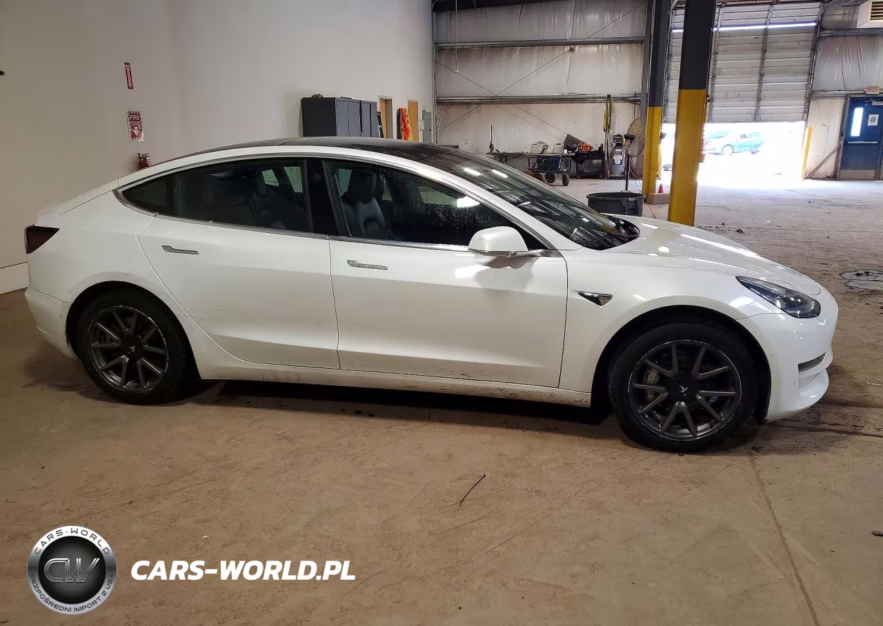2020 Tesla Model 3 VIN:5YJ3E1EA0LF742958 - 4