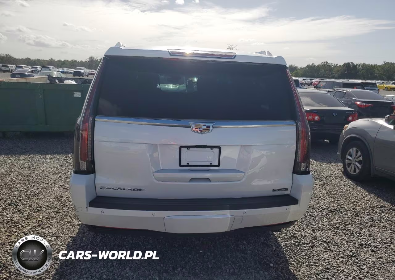 2018 Cadillac Escalade Esv Luxury VIN:1GYS3HKJ0JR344360 - 6