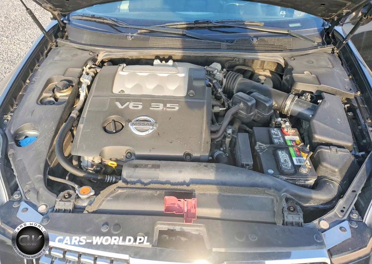 2006 Nissan Maxima Se-Sl VIN:1N4BA41E86C809007 - 11