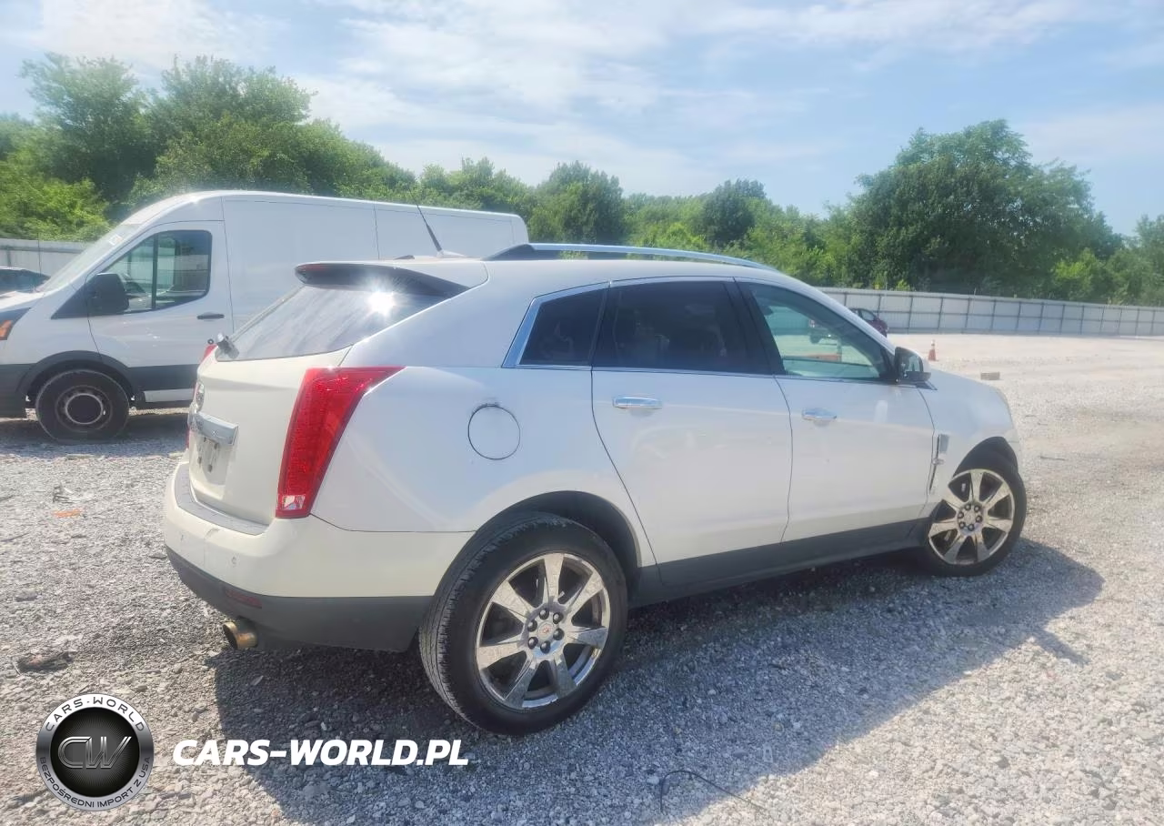 2010 Cadillac Srx Performance Collection VIN:3GYFNEEY3AS642269 - 3