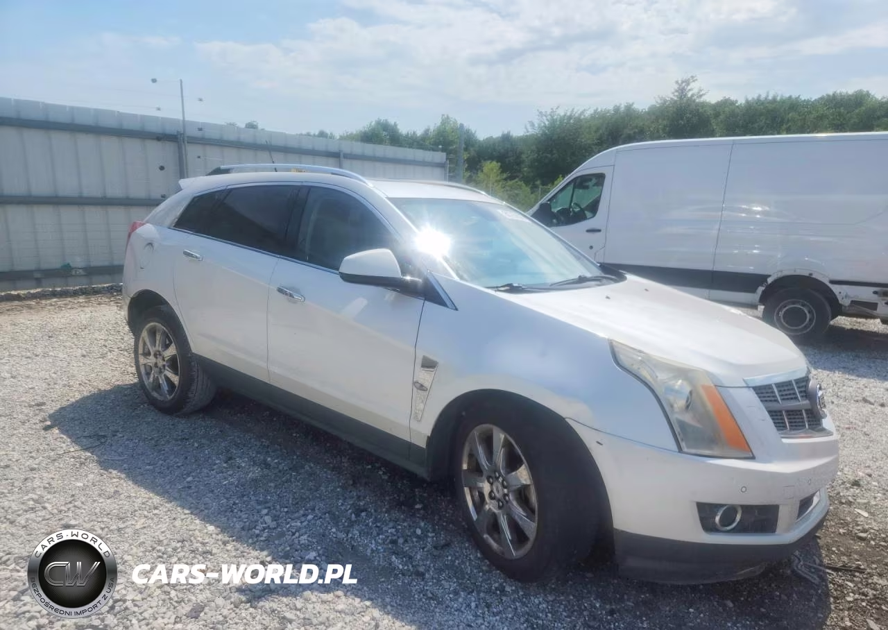 2010 Cadillac Srx Performance Collection VIN:3GYFNEEY3AS642269 - 4