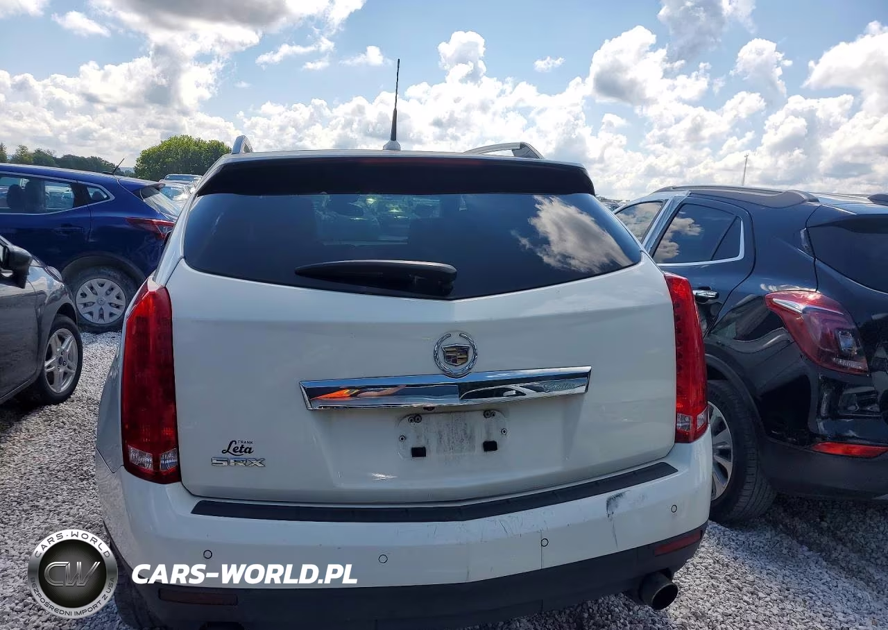2010 Cadillac Srx Performance Collection VIN:3GYFNEEY3AS642269 - 6