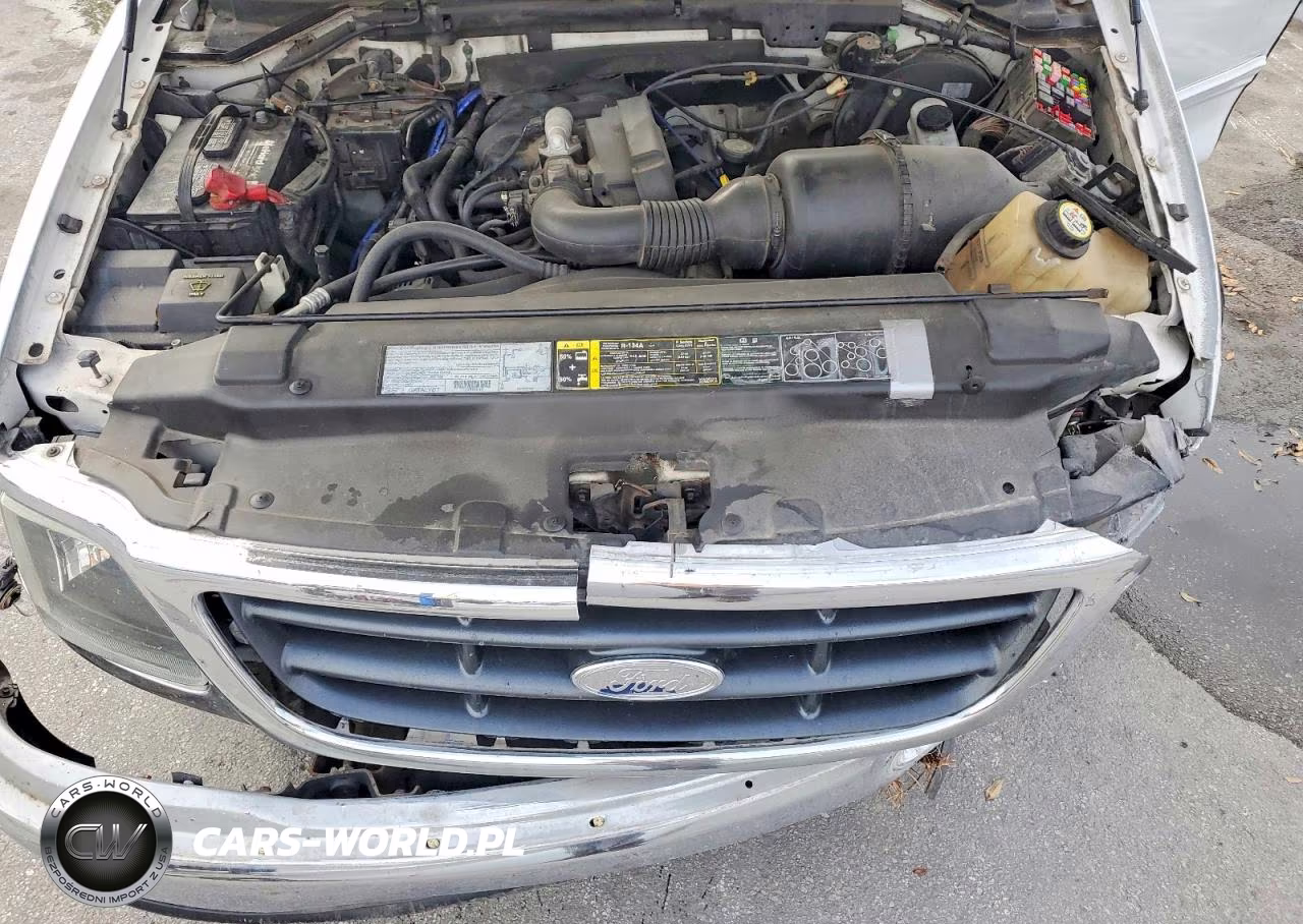 2003 Ford F150 VIN:1FTRF17203NA81625 - 11