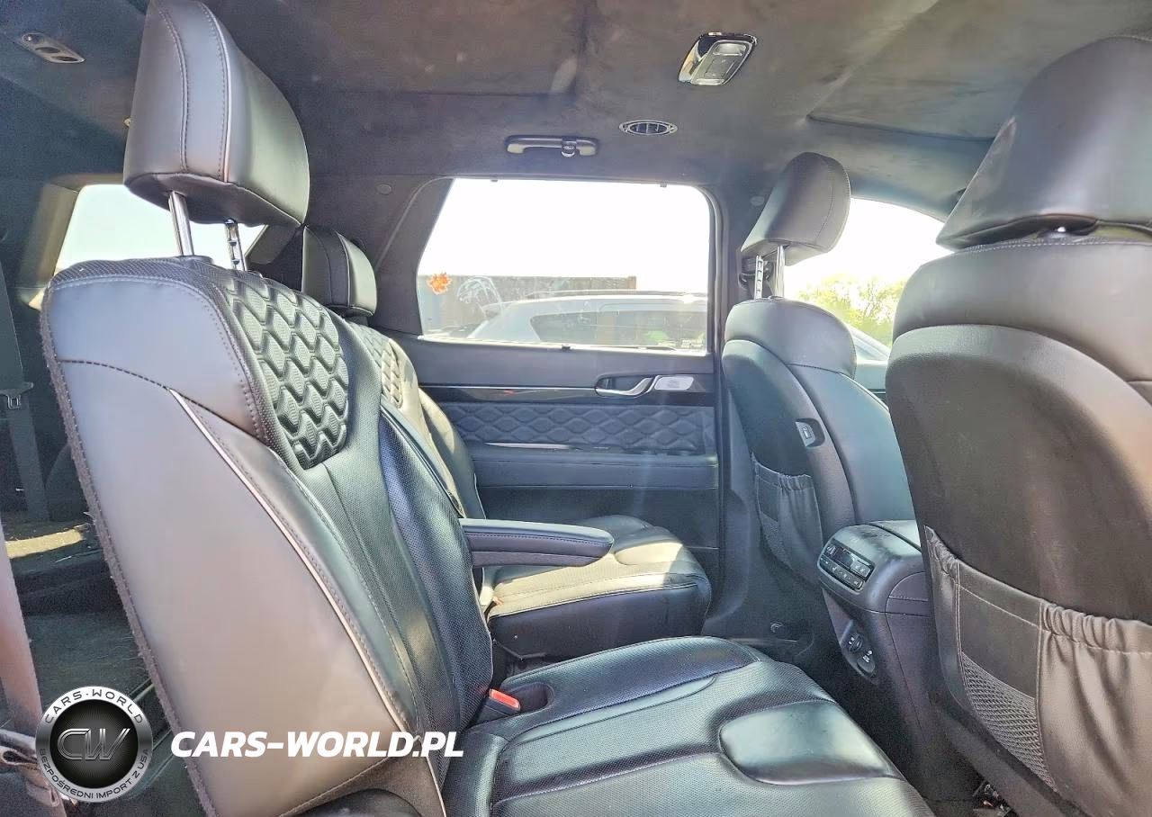 2022 Hyundai Palisade Calligraphy VIN:KM8R7DHE4NU371135 - 10