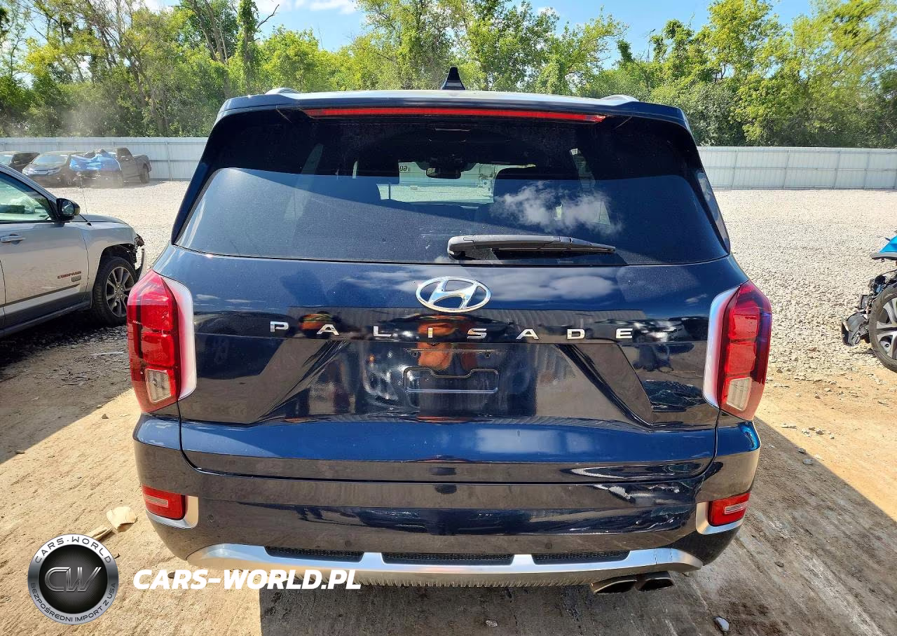 2022 Hyundai Palisade Calligraphy VIN:KM8R7DHE4NU371135 - 6