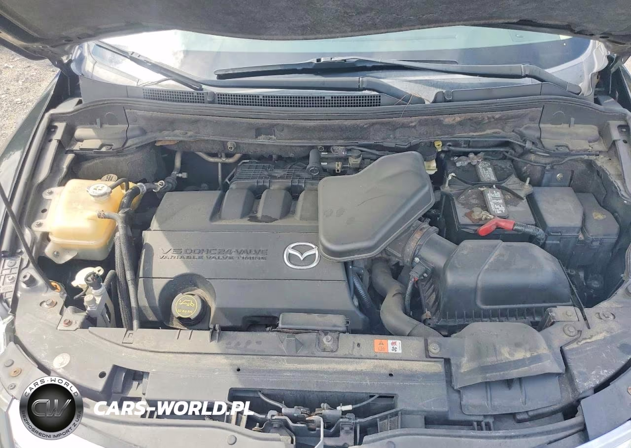 2011 Mazda Cx-9 VIN:JM3TB2DA5B0321337 - 12