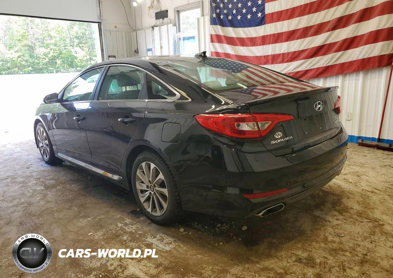 2016 Hyundai Sonata Sport VIN:5NPE34AF1GH257513 - 2
