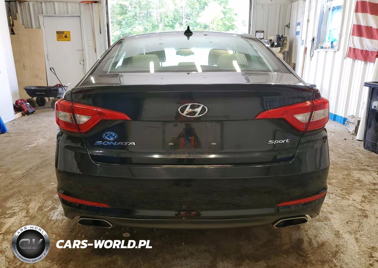 2016 Hyundai Sonata Sport VIN:5NPE34AF1GH257513 - 6