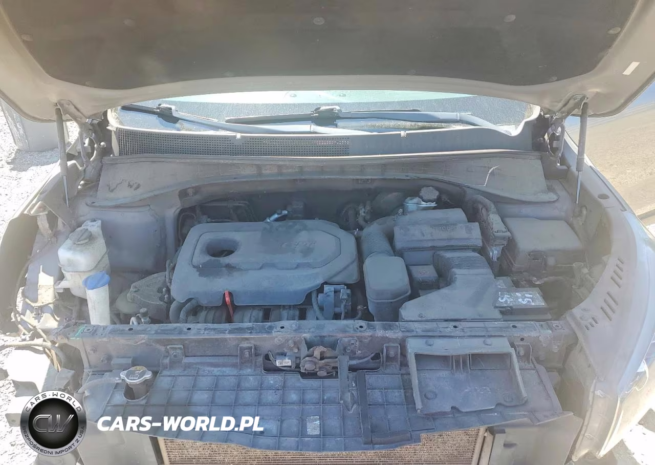 2019 Kia Sorento Lx VIN:5XYPG4A36KG453935 - 12
