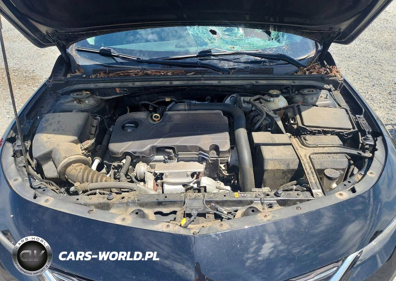 2018 Chevrolet Malibu VIN:1G1ZD5ST8JF216119 - 11