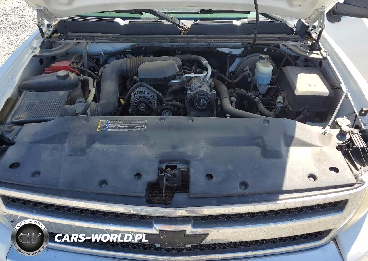 2010 Chevrolet Silverado C1500 VIN:1GCPCPEXXAZ151879 - 11