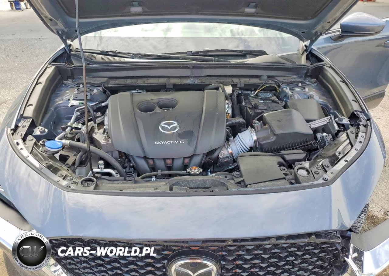 2020 Mazda Cx-30 Premium VIN:3MVDMAEM5LM100389 - 12