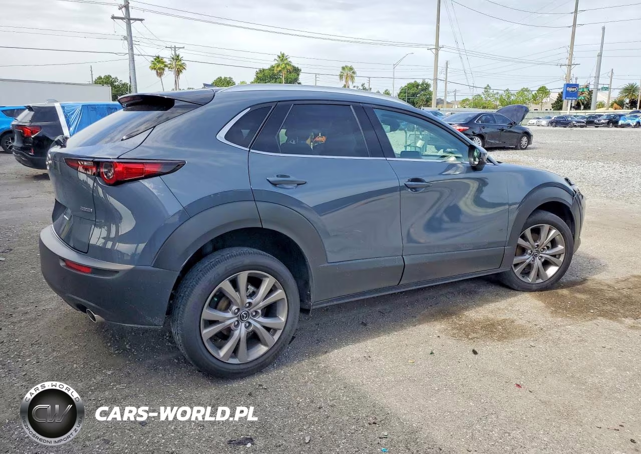 2020 Mazda Cx-30 Premium VIN:3MVDMAEM5LM100389 - 3