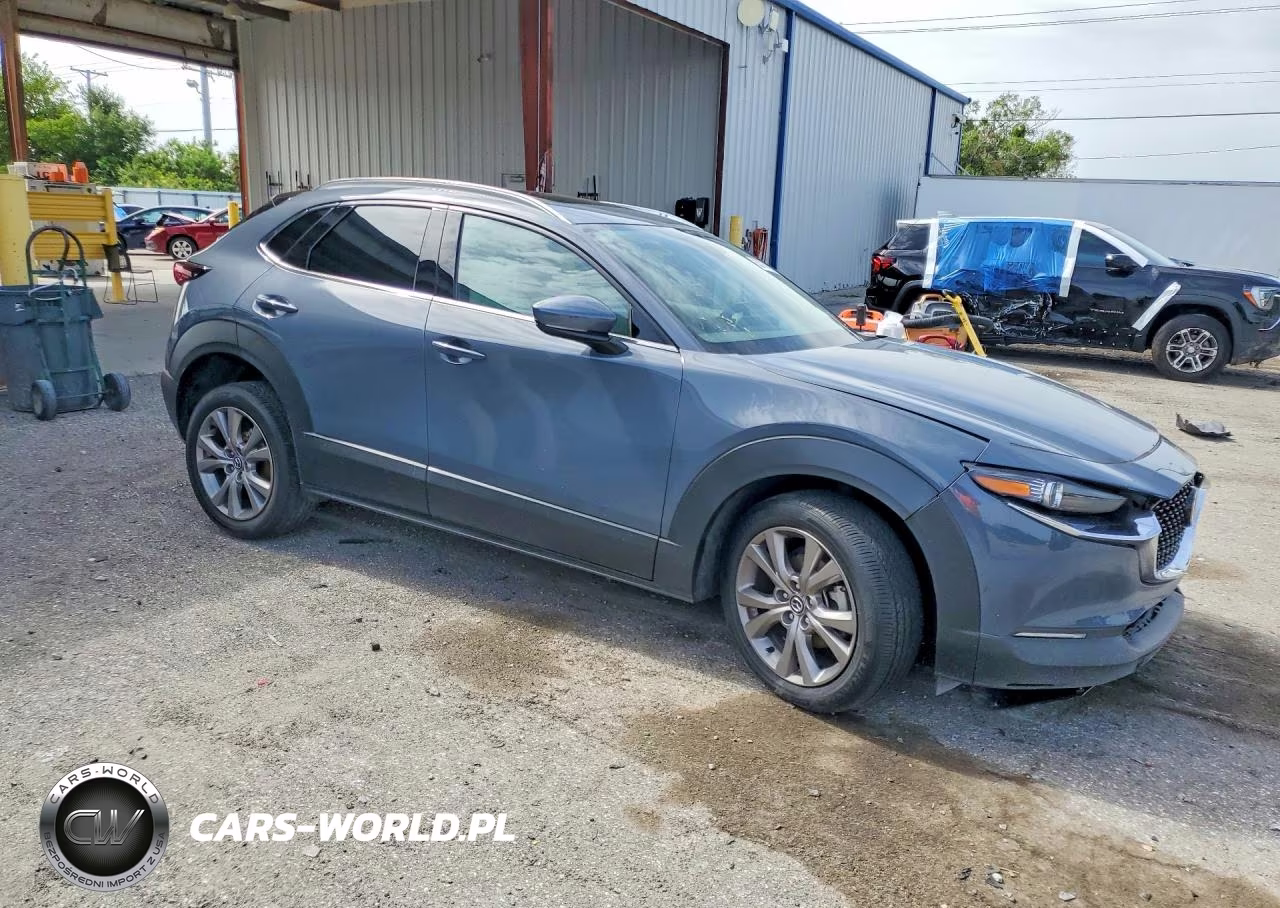 2020 Mazda Cx-30 Premium VIN:3MVDMAEM5LM100389 - 4