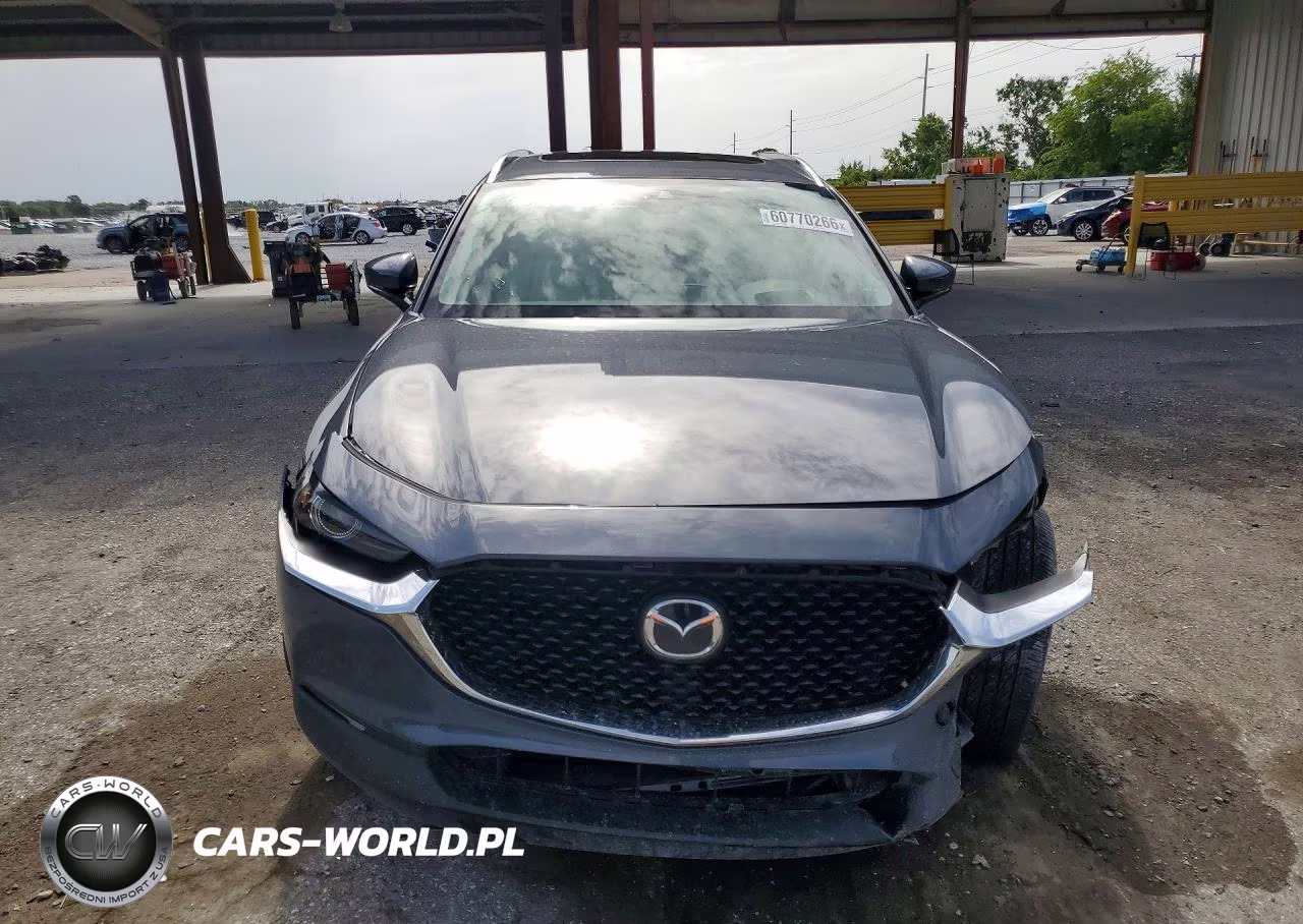 2020 Mazda Cx-30 Premium VIN:3MVDMAEM5LM100389 - 5
