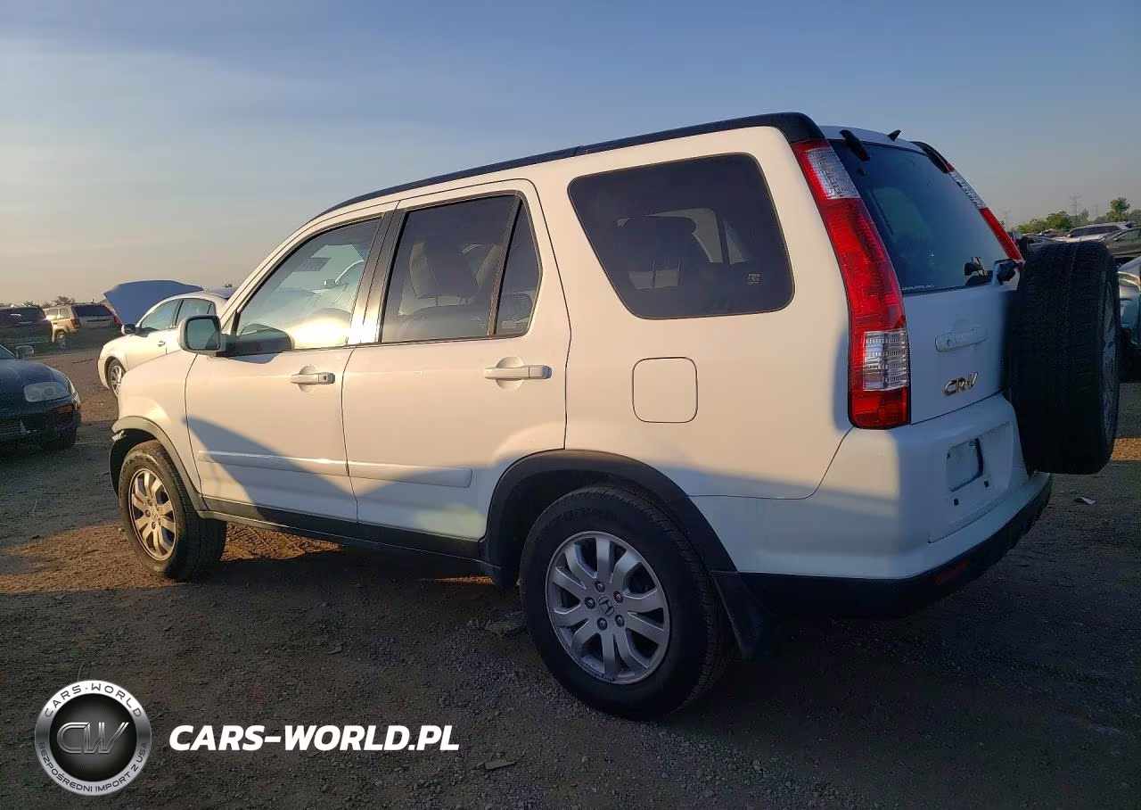 2005 Honda Cr-V Se VIN:JHLRD78935C060998 - 2