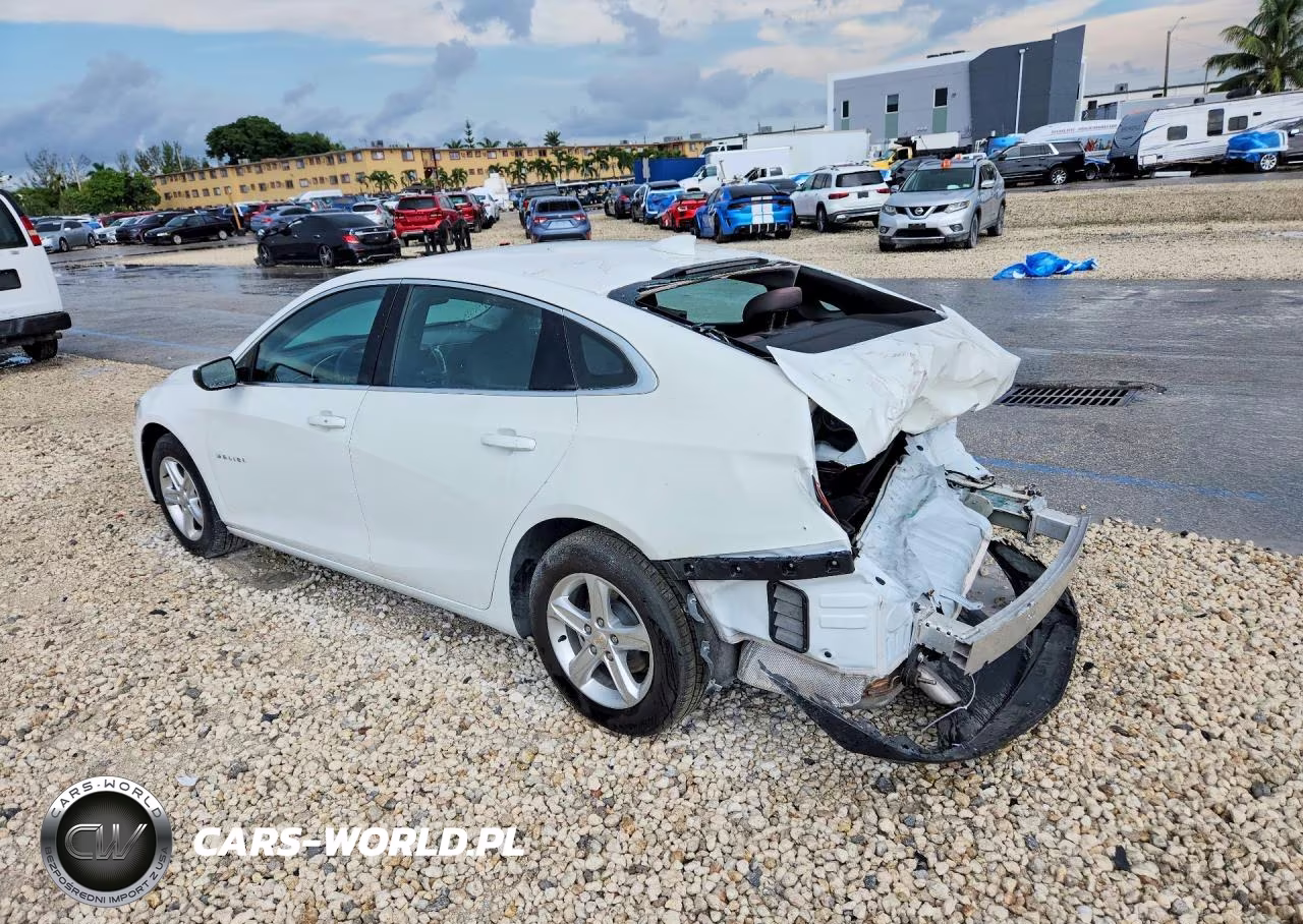 2024 Chevrolet Malibu Lt VIN:1G1ZD5ST4RF134495 - 2