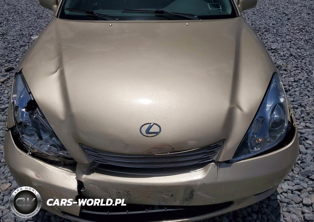 2004 Lexus Es 330 VIN:JTHBA30G740014809 - 11