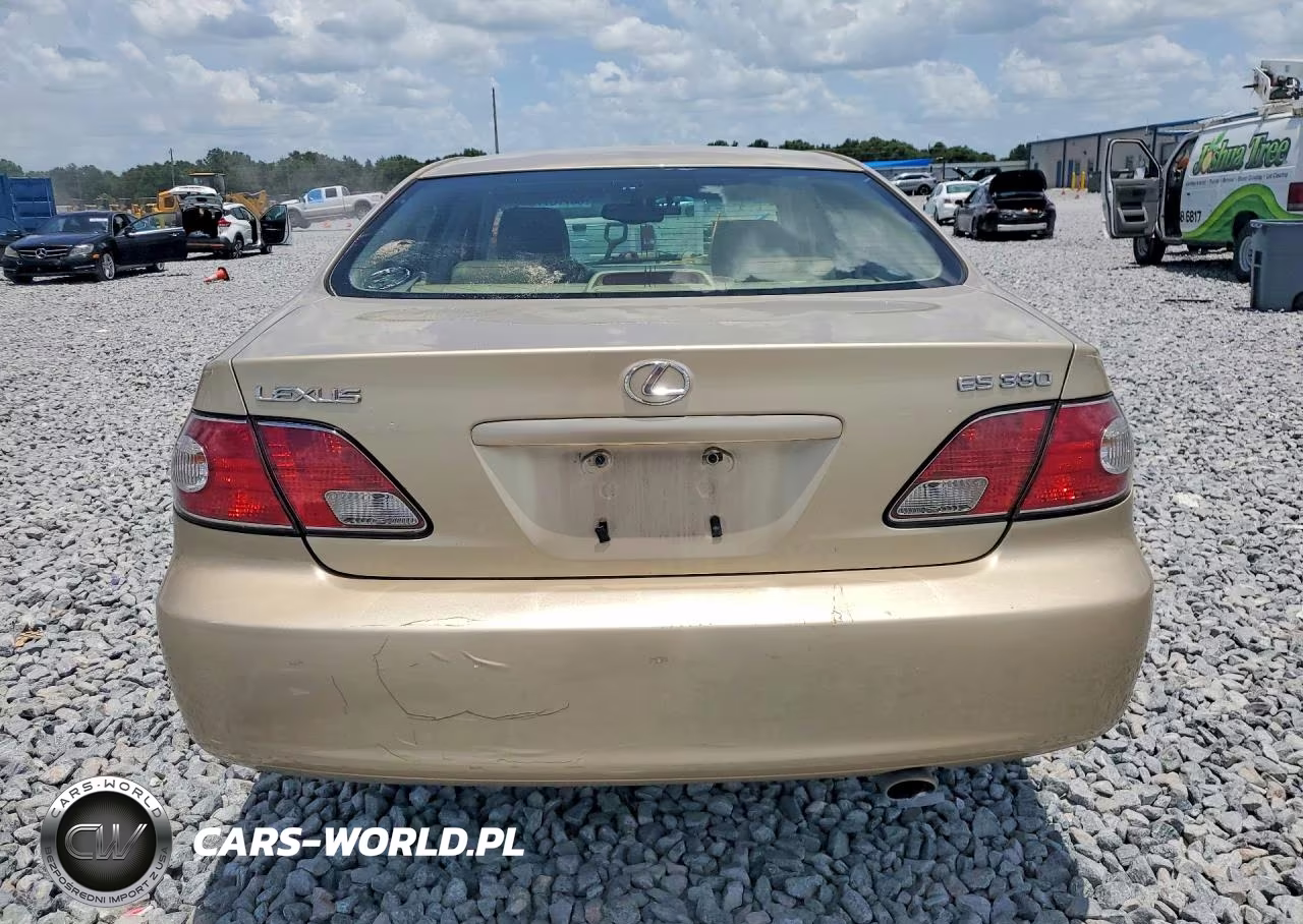 2004 Lexus Es 330 VIN:JTHBA30G740014809 - 6