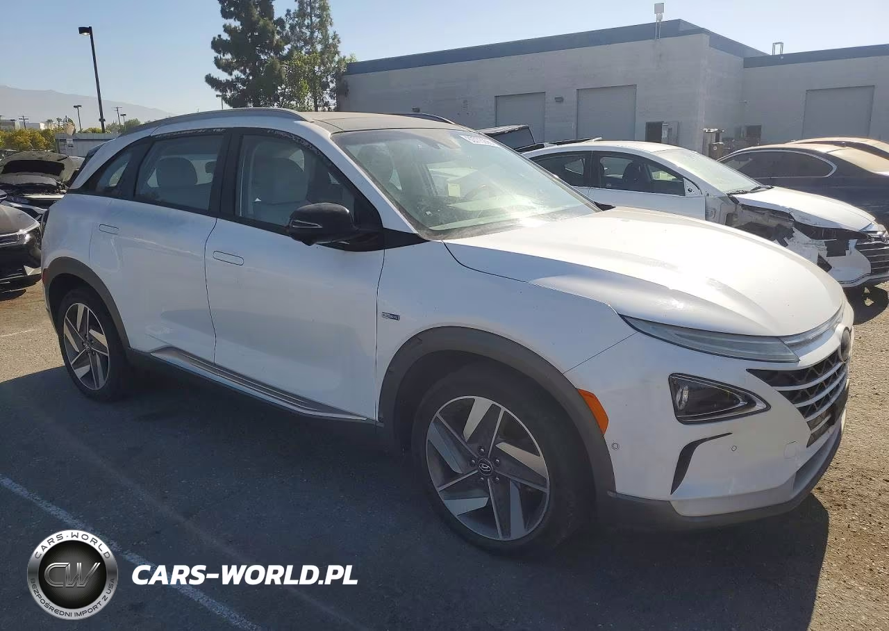 2019 Hyundai Nexo Limited VIN:KM8J84A68KU001587 - 4