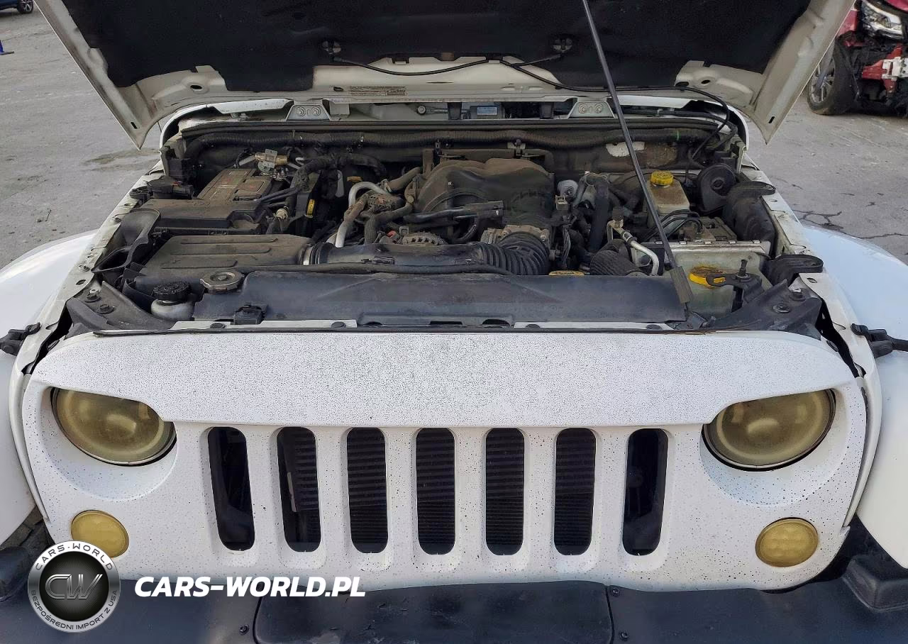 2014 Jeep Wrangler Unlimited Rubicon VIN:1C4BJWFG1EL261754 - 11