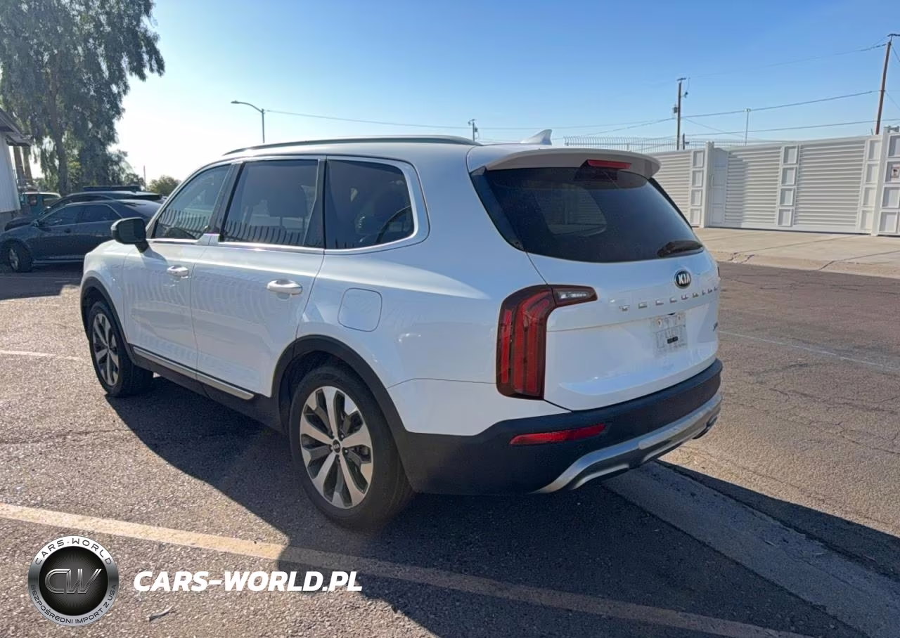 2020 Kia Telluride S VIN:5XYP64HC7LG044935 - 3