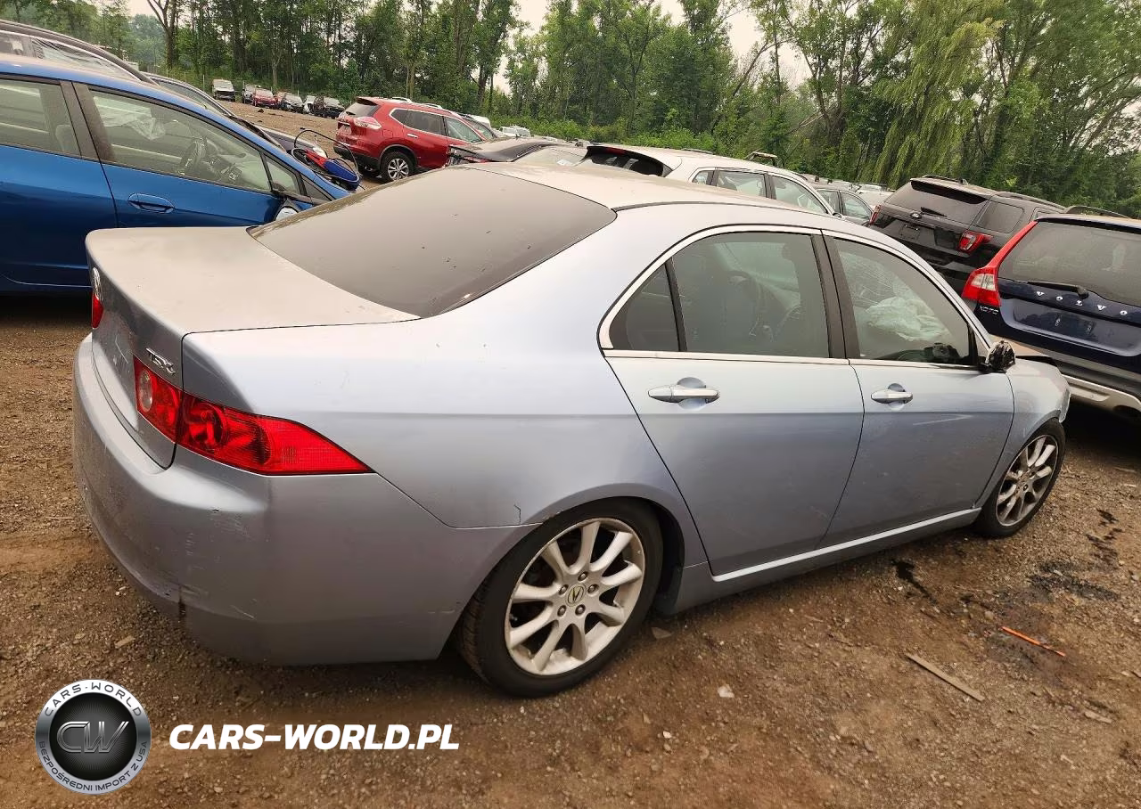 2004 Acura Tsx VIN:JH4CL96864C003638 - 3