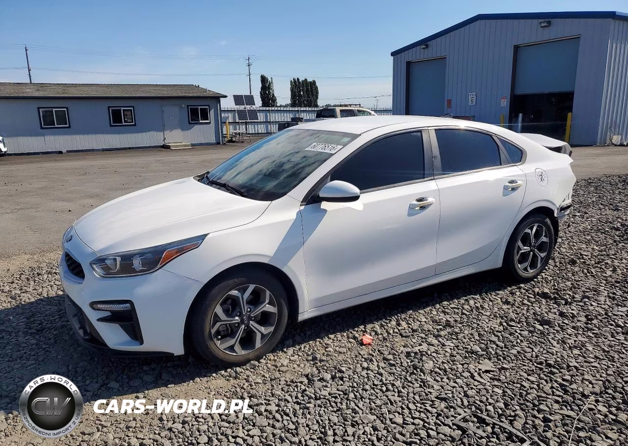 2019 Kia Forte Lxs