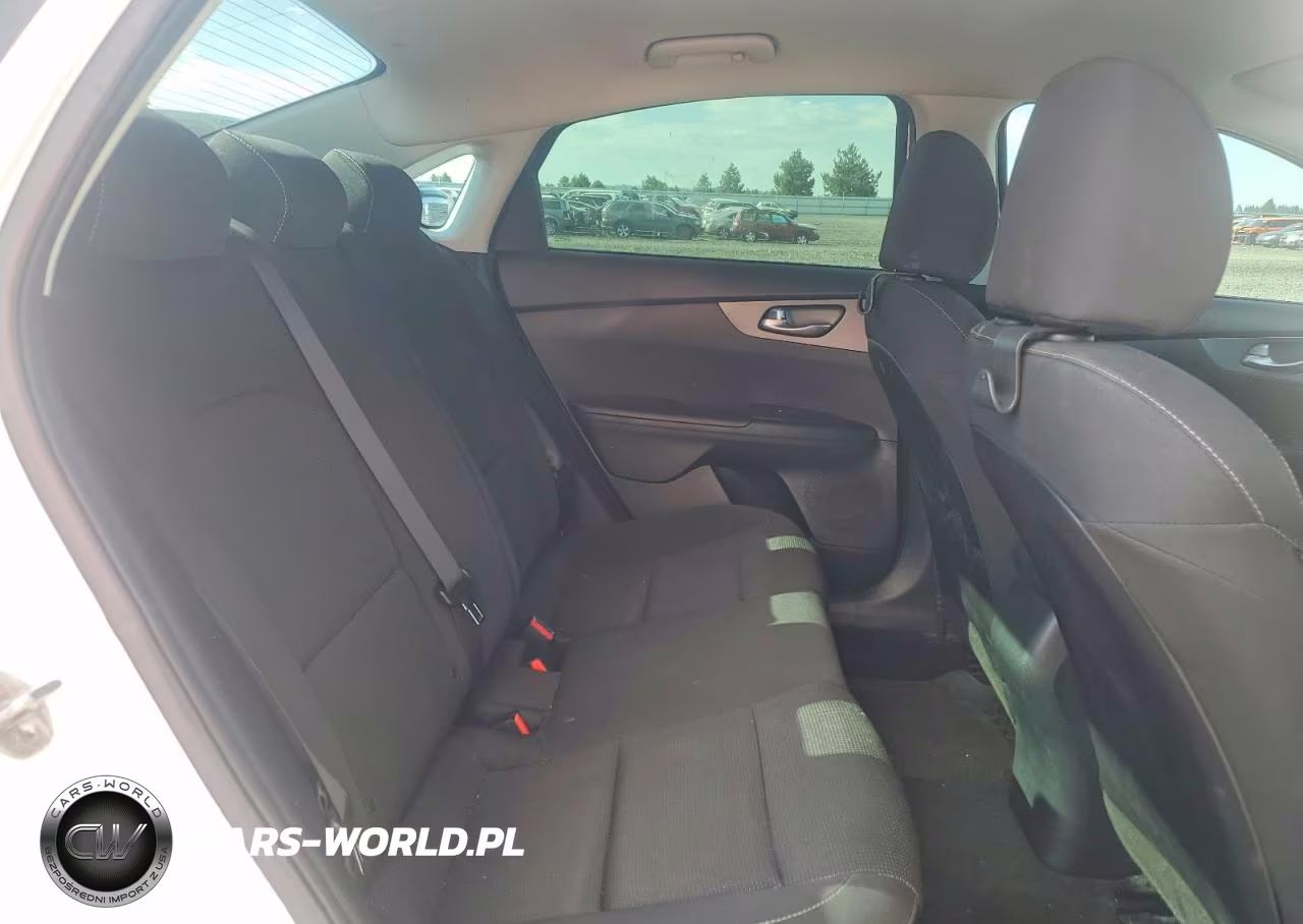 2019 Kia Forte Lxs VIN:3KPF24AD2KE137254 - 10