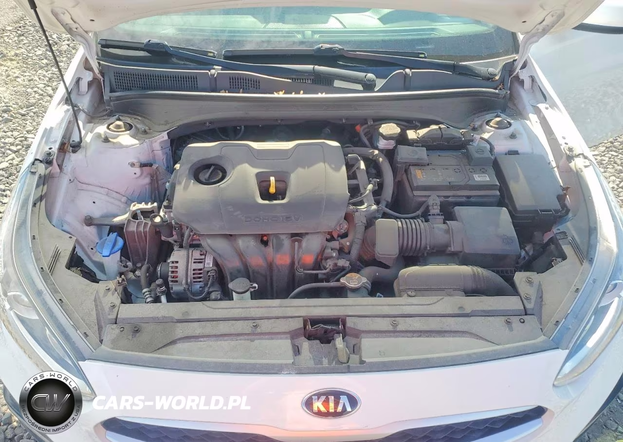 2019 Kia Forte Lxs VIN:3KPF24AD2KE137254 - 11