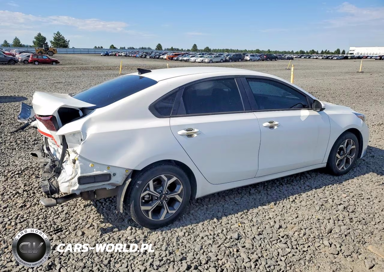2019 Kia Forte Lxs VIN:3KPF24AD2KE137254 - 3