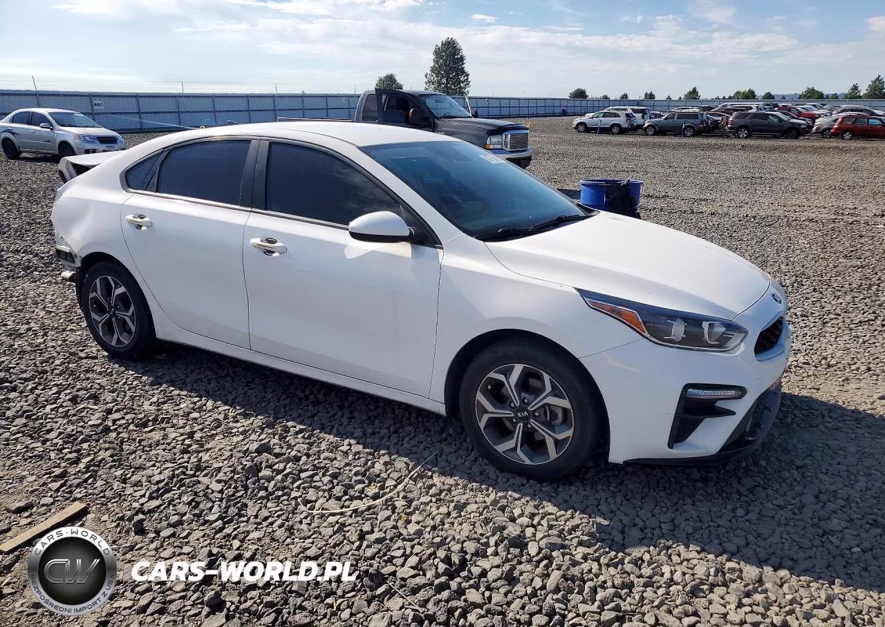 2019 Kia Forte Lxs VIN:3KPF24AD2KE137254 - 4