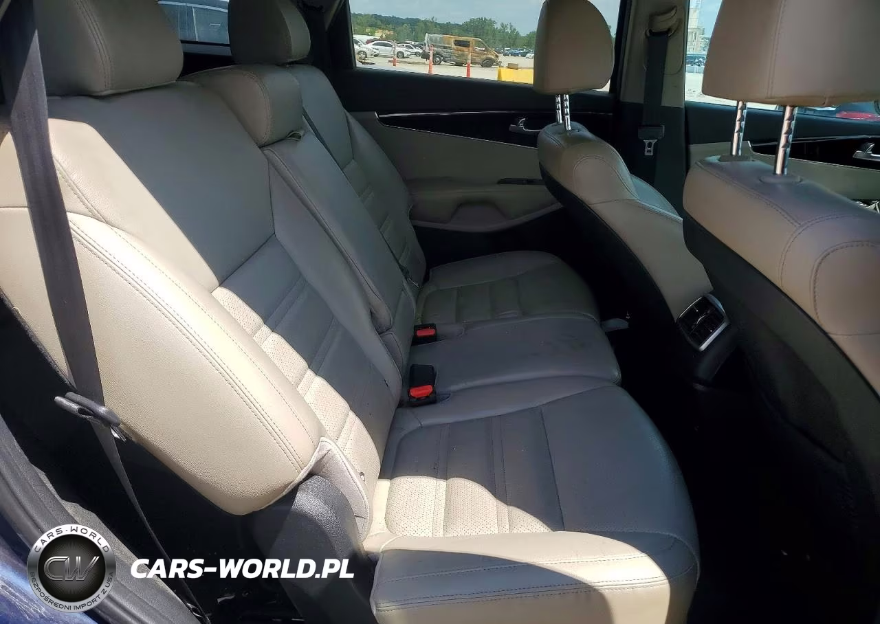 2019 Kia Sorento Ex V6 VIN:5XYPH4A59KG441681 - 11