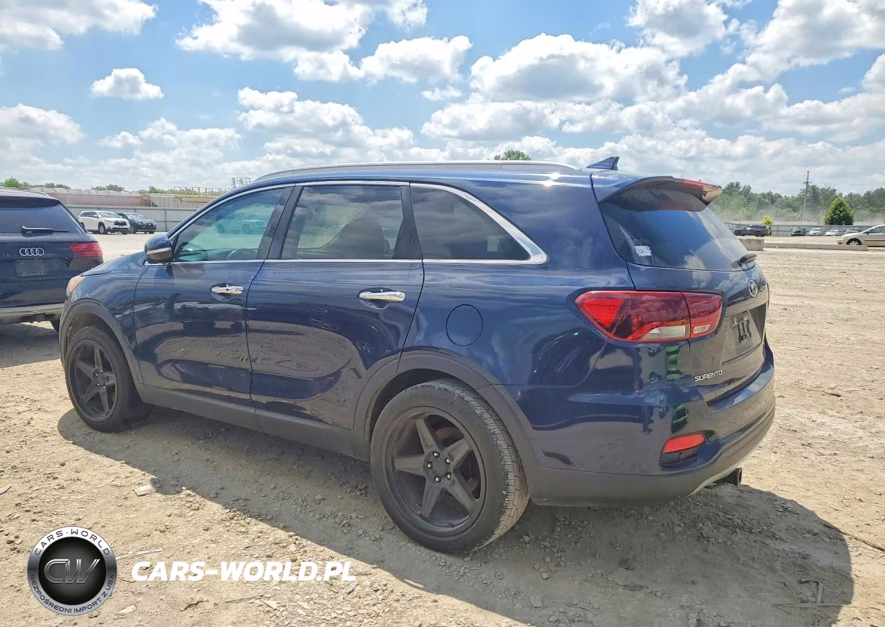 2019 Kia Sorento Ex V6 VIN:5XYPH4A59KG441681 - 2