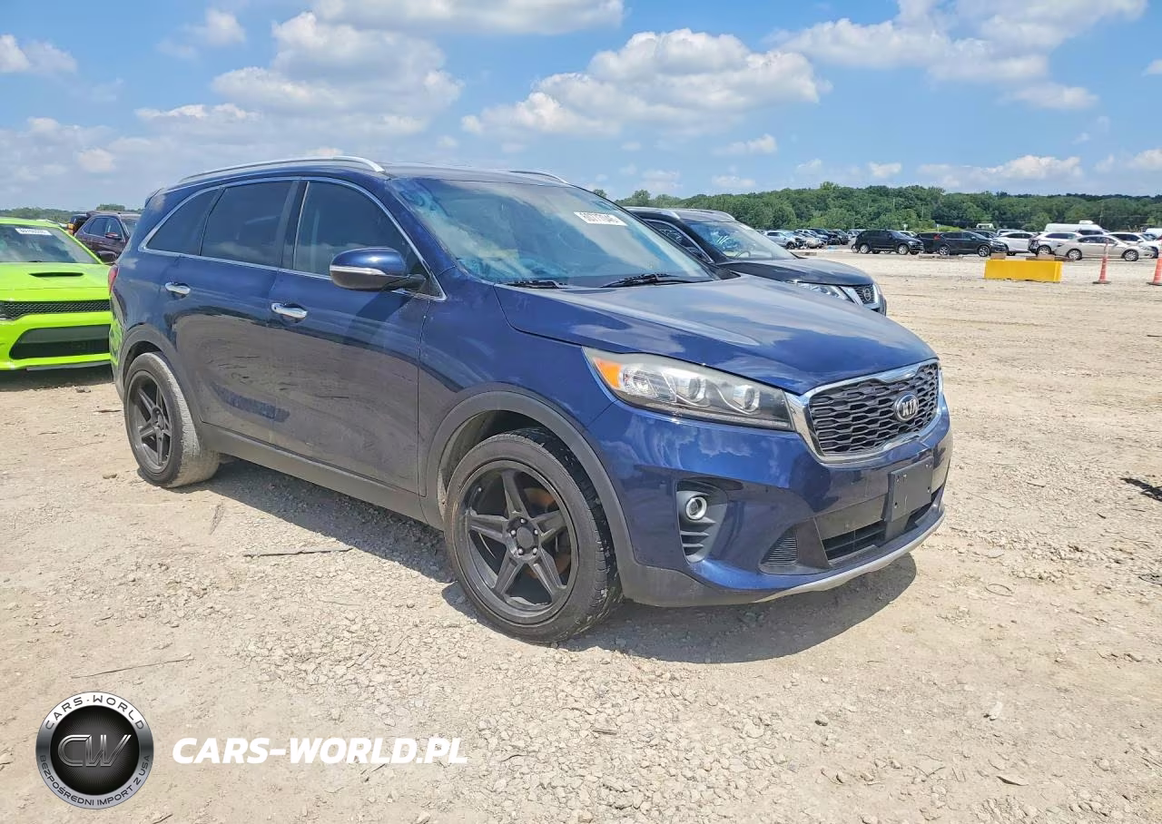 2019 Kia Sorento Ex V6 VIN:5XYPH4A59KG441681 - 4
