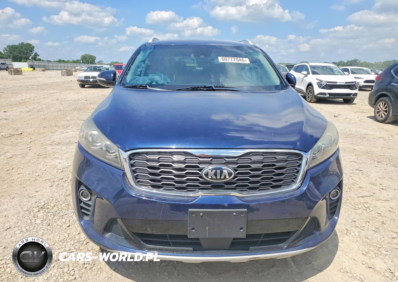 2019 Kia Sorento Ex V6 VIN:5XYPH4A59KG441681 - 5
