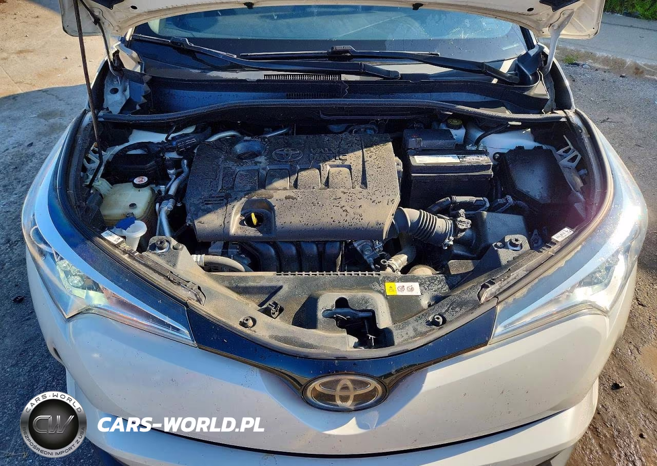2019 Toyota C-Hr Xle VIN:NMTKHMBX6KR072256 - 12