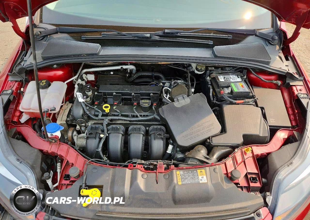 2014 Ford Focus Titanium VIN:1FADP3J23EL274299 - 11