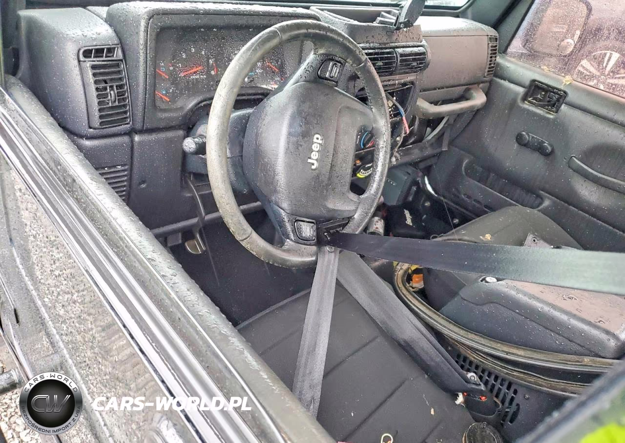 2004 Jeep Wrangler - Tj Rubicon VIN:1J4FA69SX4P791871 - 8