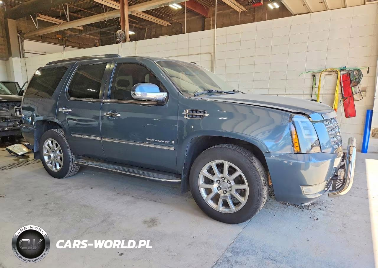 2009 Cadillac Escalade VIN:1GYFK13219R166828 - 4